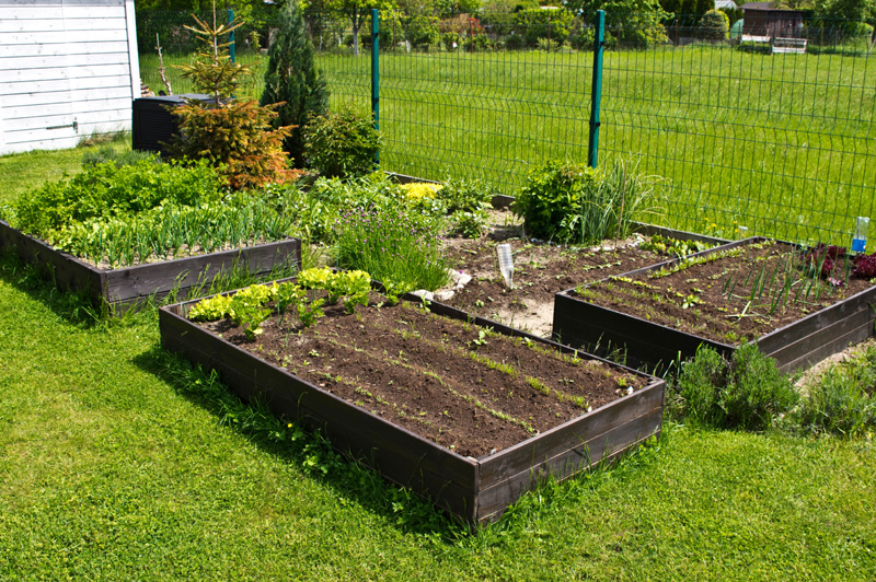 best location for raised garden bed