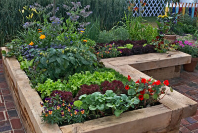 raised garden bed