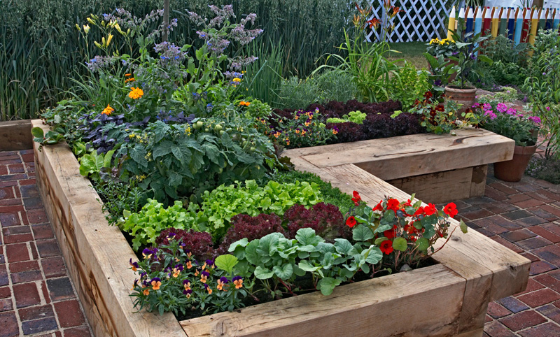 raised garden bed